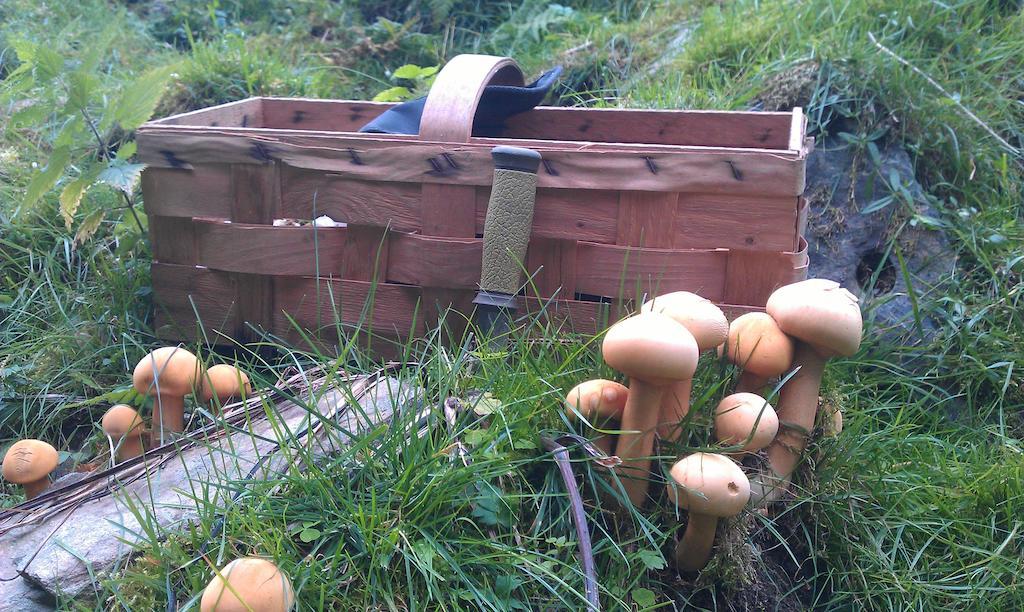 Valdres Naturlegvis Fagernes Ngoại thất bức ảnh