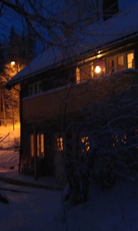 Valdres Naturlegvis Fagernes Ngoại thất bức ảnh